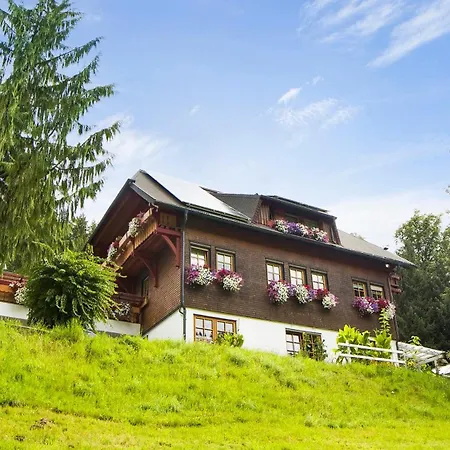 Gaestehaus Maria Brinkhus Schonach im Schwarzwald Exterior photo