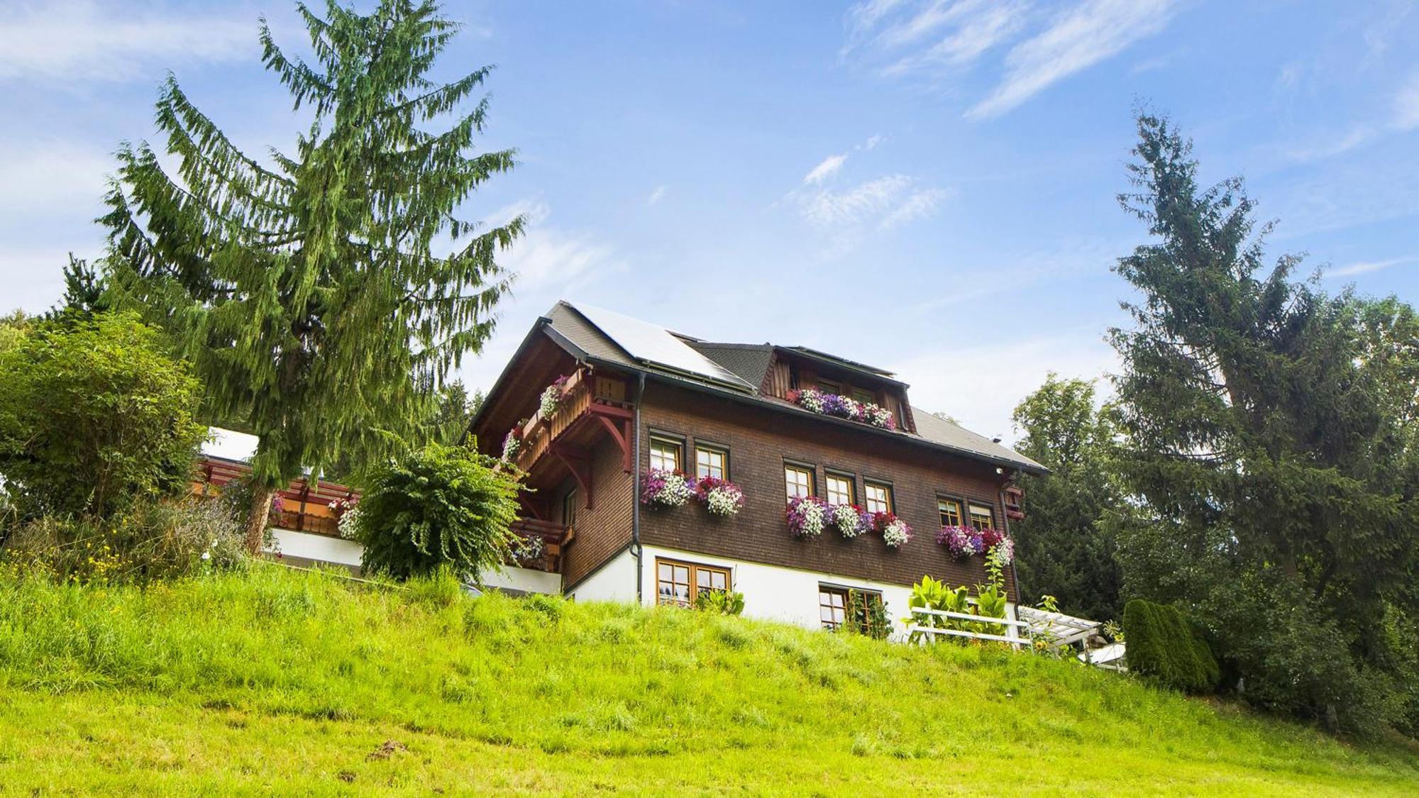Gaestehaus Maria Brinkhus Apartment Schonach im Schwarzwald